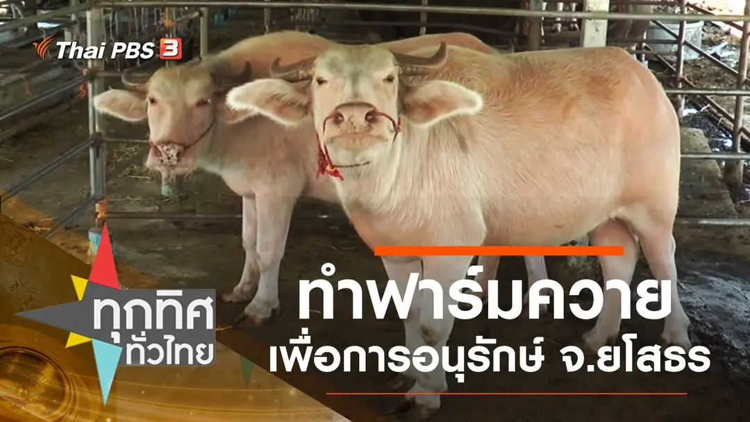 East View ทรรศนะบูรพา